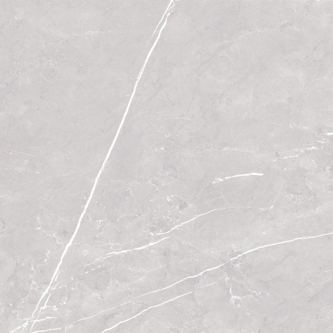 Antigua Silver 80cm x 80cm Floor Tile