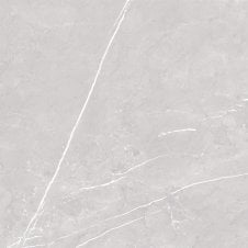 Antigua Silver 80cm x 80cm Floor Tile