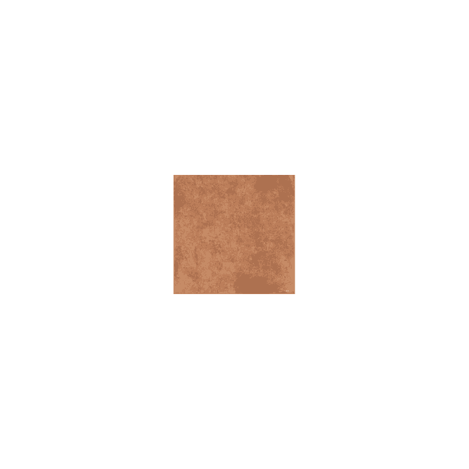 Barro Cotto 20cm x 20cm Wall and Floor Tile
