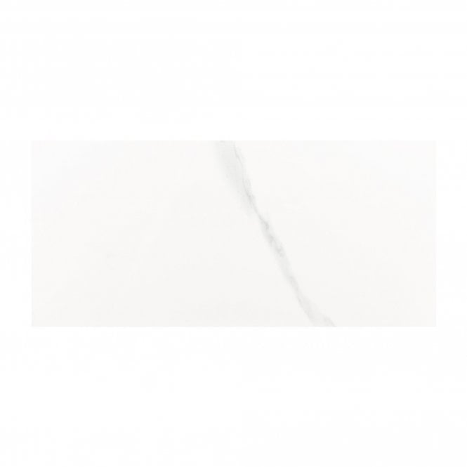 Carrara Gloss 25cm x 50cm Wall Tile