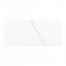 Carrara Gloss 25cm x 50cm Wall Tile