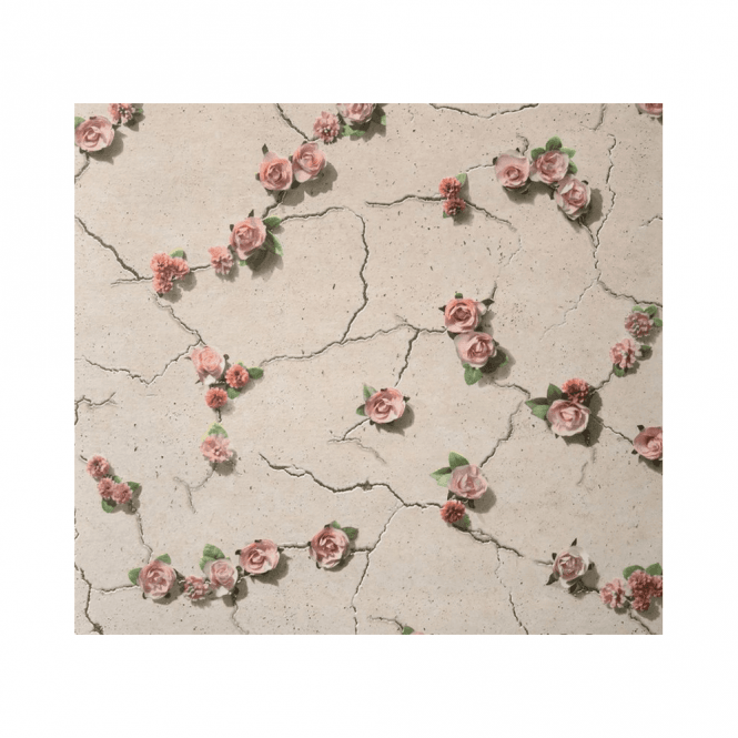 Cemented Floral Coral Wall Paper