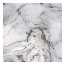 Exotica Silver 60cm x 60cm Wall and Floor Tile
