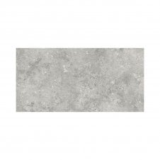 Florys Light Grey Matt 59.8cm x 119.8cm Wall and Floor Tile
