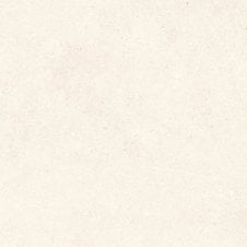 Padova Bone 60cm x 60cm Wall and Floor Tile