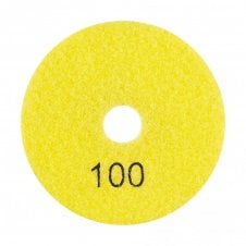Panther Polishing Pad 100mm#100 Grit
