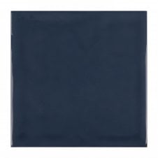 Rodin Ocean 15cm x 15cm Wall Tile