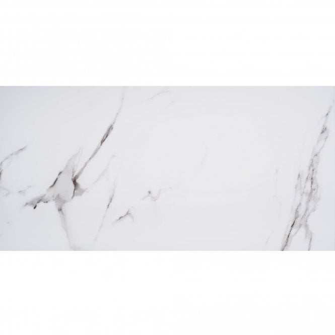 Staturio Matt 60cm x 120cm Floor Tile