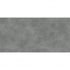 Titanio Grafito 59.8cm x 119.8cm Wall and Floor Tile
