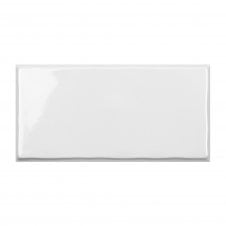 Trendy Fossil Glossy 12.5cm x 25cm Wall Tile