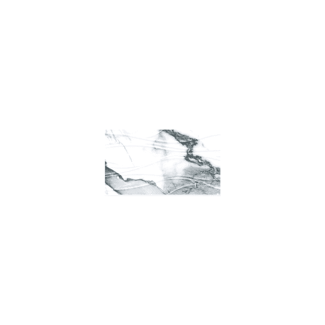 Windsor Silver Decor 25cm x 50cm Wall Tile
